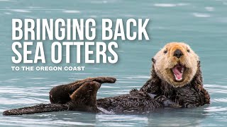 Sea Otters \u0026 Kelp Forests: Rewilding Oregon’s Coast with Chanel Hason (Ep 199)