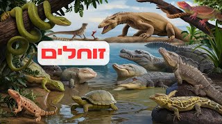 זוחלים לילדים חיות 🦎🐍 נחש, צב, לטאה ותנין 🐢🐊 מסע להכיר את הזוחלים