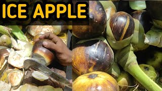 Ice Apple Ninja Fruit Cutting Technique | Tadgole Fruits