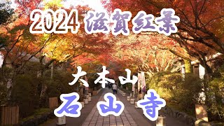 2024滋賀紅葉・石山寺　Shiga Autumn Leaves and Ishiyama Temple