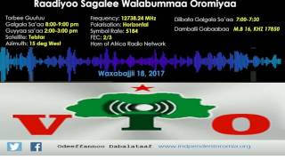 RSWO - Waxabajjii 18, 2017 ODUU, DHAAMSAA FI YAADA UMMATAA