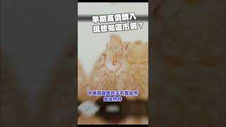 早期高價購入，真的很想聽你說這件擺件的價值是多少錢？🤔 #今日鑑定物件 #中華民國珠寶玉石鑑定所 #好奇 #想知道 #鑑定 #珠寶 #翡翠 #玉石 #寶石 #熱門