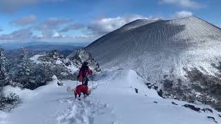 ゴールデンドゥードルと雪山登山「蛇骨岳（黒斑山）からどデカい浅間山へ向かう」