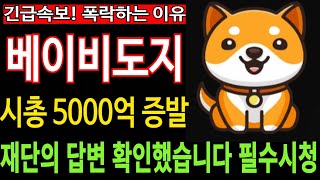 [베이비도지코인] BabyDoge - 긴급속보 시총 5000억 증발 폭락하는 이유 재단의 답변 확인했습니다 필수시청 코미녀