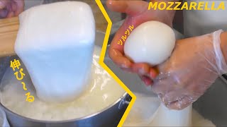 How artisanal mozzarella cheese is made in Italy. 100% natural!