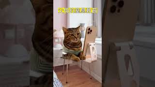 父母的窒息教育 #猫meme小剧场 #迷因 #猫猫迷因 #猫meme #父母教育 #窒息