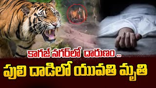 కాగజ్ నగర్ లో దారుణం .. | Telugu Latest Updates | SumanTV Media