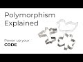 Polymorphism Explained - Learn to Code Intermediate
