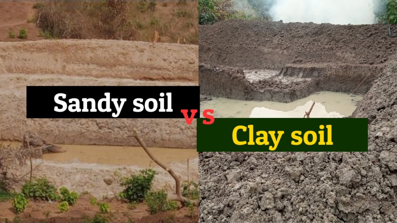 Clay Soil Vs Sandy Soil