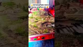 😆নাম বানান করতে পারল রাতে 🤣 #funny #viralvideo #shortvideo