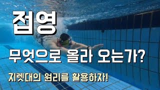 접영 팔동작을 물속에서 관찰해보자!(팔꿈치의 위치에 따라 힘은 달라진다)