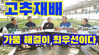 고추재배 가뭄 해결이 최우선이다