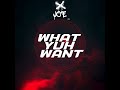 what yuh want jo e official audio