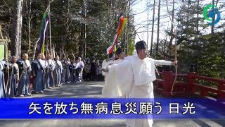 矢を放ち無病息災願う 武射祭 日光