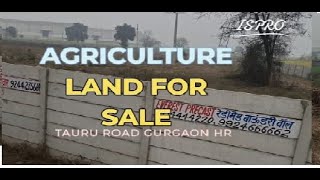 AGRICULTURE LAND FOR SALE TAURU ROAD GURGAON CALL: +91 9899100018