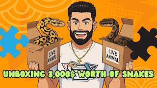 Unboxing Over 3,000$ Worth Of New Ball Pythons!!!!