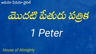 మొదటి పేతురు పత్రిక , 1 Peter