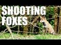 Fieldsports Britain : Shooting foxes