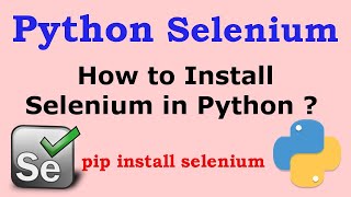 How to Install Selenium Web Driver in Python [Python Selenium Tutorial]