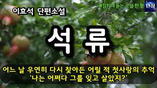 어느 날 우연히 다시 찾아든 어릴 적 첫사랑의 추억 '나는 어쩌다가 그를 잊고 살았지?' [석류] 이효석  #책읽어주는남자 #오디오북  #책과함께하는하루단잠