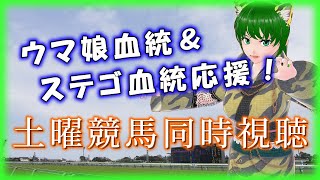 【土曜競馬】同時視聴配信！ウマ娘血統＆ステゴ血統応援♪【一色翠/Vtuber】