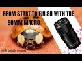 90mm macro from start to finish - simple editing process