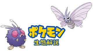 【ポケモン解説】「コンパン」「モルフォン」の生態・小ネタ・鳴き声について！