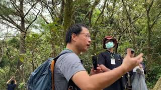 2023/10/14苗栗海岸丘陵調查生態之旅(蓮花寺)-新竹地區的槲櫟族群