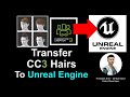 Character Creator 3 Hairs to Unreal Engine - CC3 UE5 Tutorial