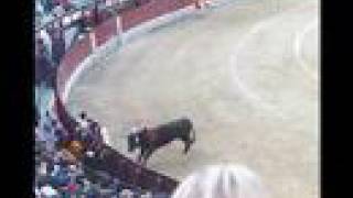 スペイン闘牛(corrida de toros)