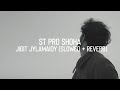 ST Pro Shoha - Jigit Jylamaidy (Slowed + Reverb)