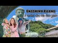 Enoshima dan Kamakura daibutsu || Wisata jepang yang wajib di kunjungi