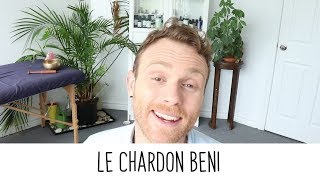 Propriétés du Chardon Béni