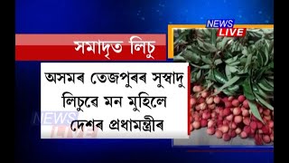 তেজপুৰৰ লিচুৱে মন মুহিলে দেশৰ প্ৰধানমন্ত্ৰীৰ,এইবাৰ প্ৰধানমন্ত্ৰীৰ পৰা প্ৰশংসাপত্ৰ আহিছে তেজপুৰবাসীলৈ