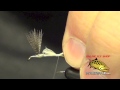 light cahill dry fly tying