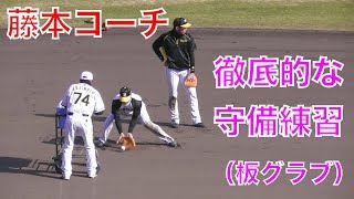 ＃６３板山選手と＃９３西田選手の守備練習【阪神タイガース安芸キャンプ2018】