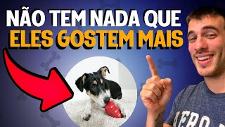 5 Melhores Brinquedos Pro Cachorro Ficar Sozinho