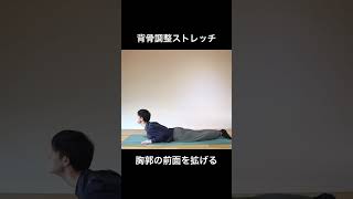 【背骨調整ストレッチ】　ヨーガ・ピラティス：ボディワーク #shorts