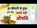 28 April / Aaj ka Gyanmoti/ हर बीमारी से मुक्त होने की औषधि ये है/ Bk Vijay/Aaj ki murli/ Avyakt