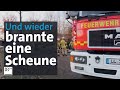 Vermutlich Brandstiftung: 200 Schafe tot bei Scheunenbrand | Abendschau | BR24