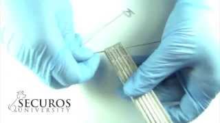 Securos University Tips \u0026 Tricks:  Plate Stringer