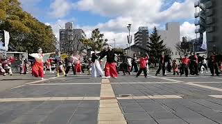 小牧市制70周年鳴子踊り祭 総踊り２