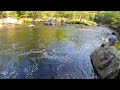 downeast maine brook trout and landlocked salmon fly fishing