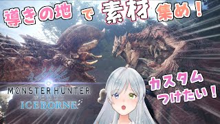 【 #MHW:IB/Steam版 】参加型！導きの地を冒険しよう！！！【 #Vtuber/冰波すい 】