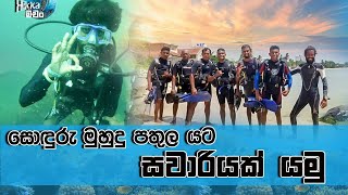 Diving in trincomalee Navy reef