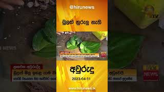 බුලත් හුරුලු නැති අවුරුදු - Hiru News