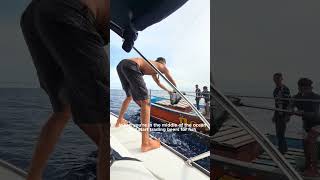 Trading beer for fish, would you do the same thing?  #trade #trading #beer #fish #boat ￼