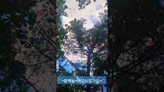 명품따듯한목소리사랑웅💥💕💙 목소리 노래최고 임영웅 곰배령