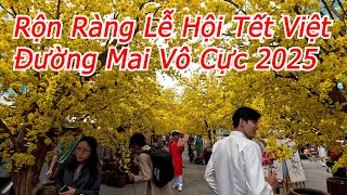 Quang Trip - Rộn Ràng Lễ Hội Tết Việt 2025 Con Đường Mai Vô Cực