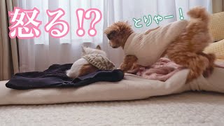 ぼくだって、おこってるんだー！！